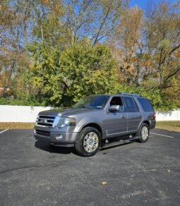 
										2011 FORD EXPEDITION full									